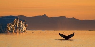 Fotograf: Julie Skotte - Visit Greenland