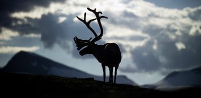 Fotograf: Peter Christensen - Visit Greenland
