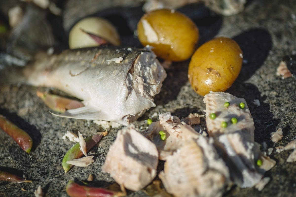 Frisk frisk med grøntsager og kartofler lavet direkte på varme sten på stranden nær Narsaq i Sydgrønland