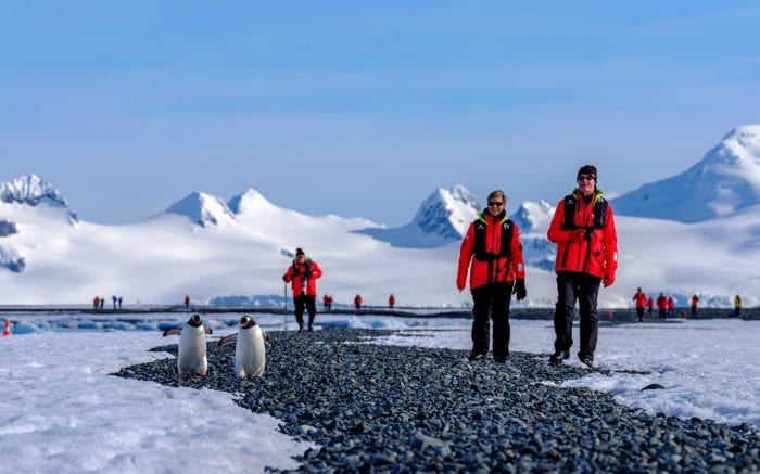 Oplev dyrelivet på Svalbard