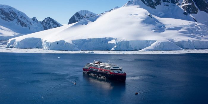 Oplev dyrelivet på Svalbard