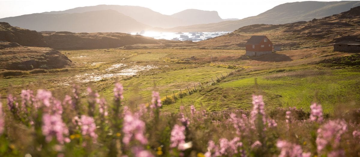Sommer I Gr nland Oplev Sommeren Greenland Travel DK